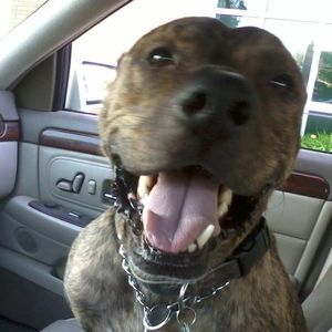 Meet your Posher, Jason